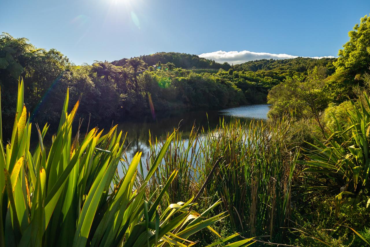 Tautari Wetland Highlights 