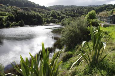 Tautari Wetland Highlights 