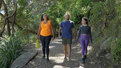 Walk and Workshop - Mauao