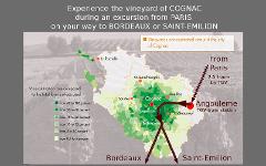 Crossing the Cognac country - PRIVATE Day tour from Angouleme to Bordeaux