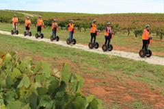Seppeltsfield Segway Tour, Barossa Valley