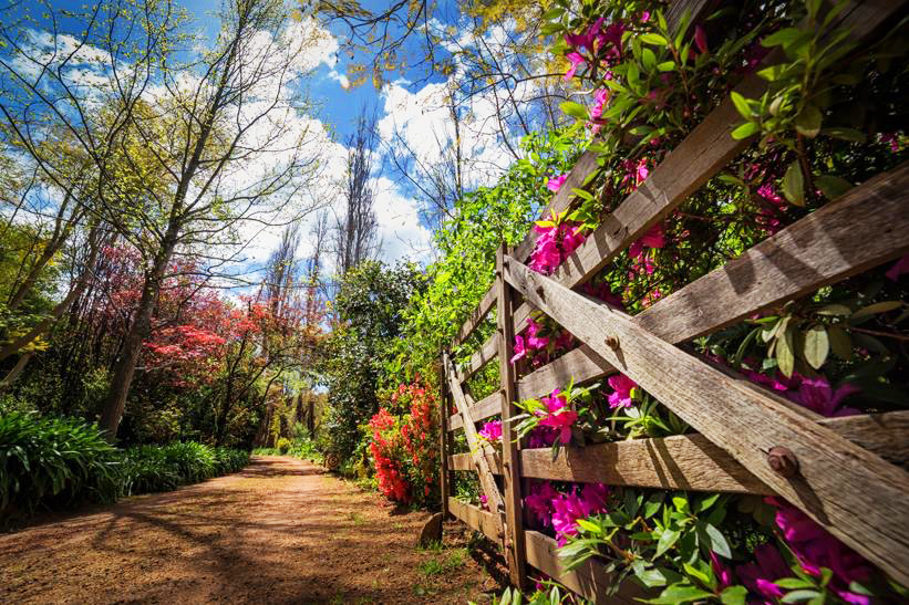 Bickley Valley Cider and Wine Trail - Half Day Tour