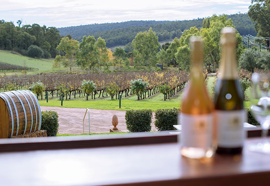 TP- ULTIMATE Perth Hills Wine, Gin & Cider - Full Day Tour