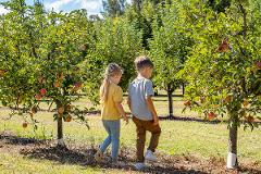 Private Tour: Perth Hills Orchards