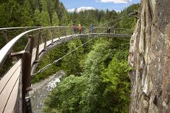 PRIVATE TOUR: VANCOUVER & CAPILANO BRIDGE | 6 hrs