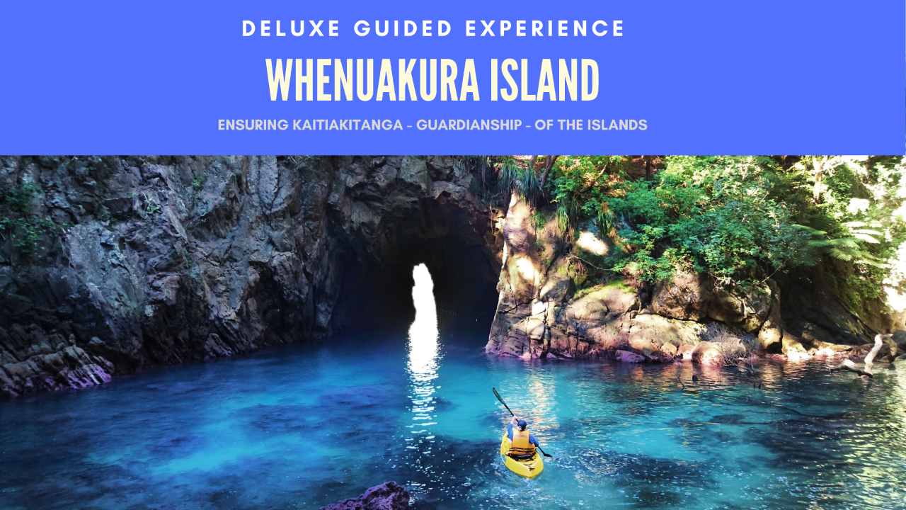 DELUXE GUIDED EXPERIENCE WHENUAKURA (DONUT)  ISLAND 