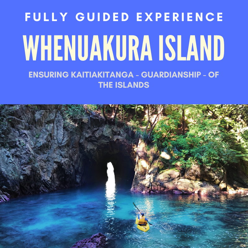 DONUT - WHENUAKURA ISLAND DELUXE GUIDED EXPERIENCE