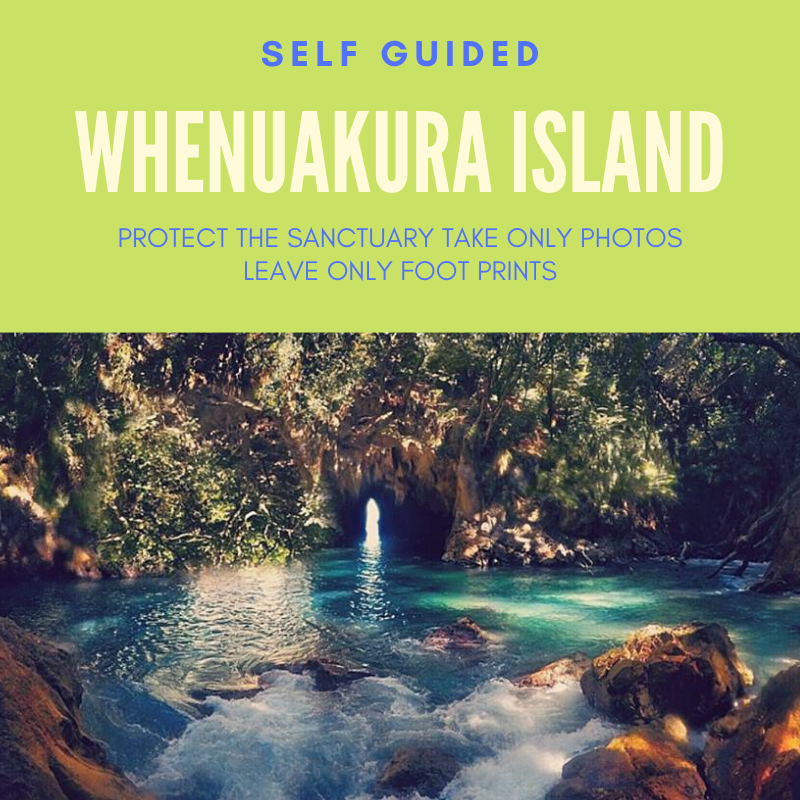 DONUT - WHENUAKURA ISLAND FREEDOM HIRE