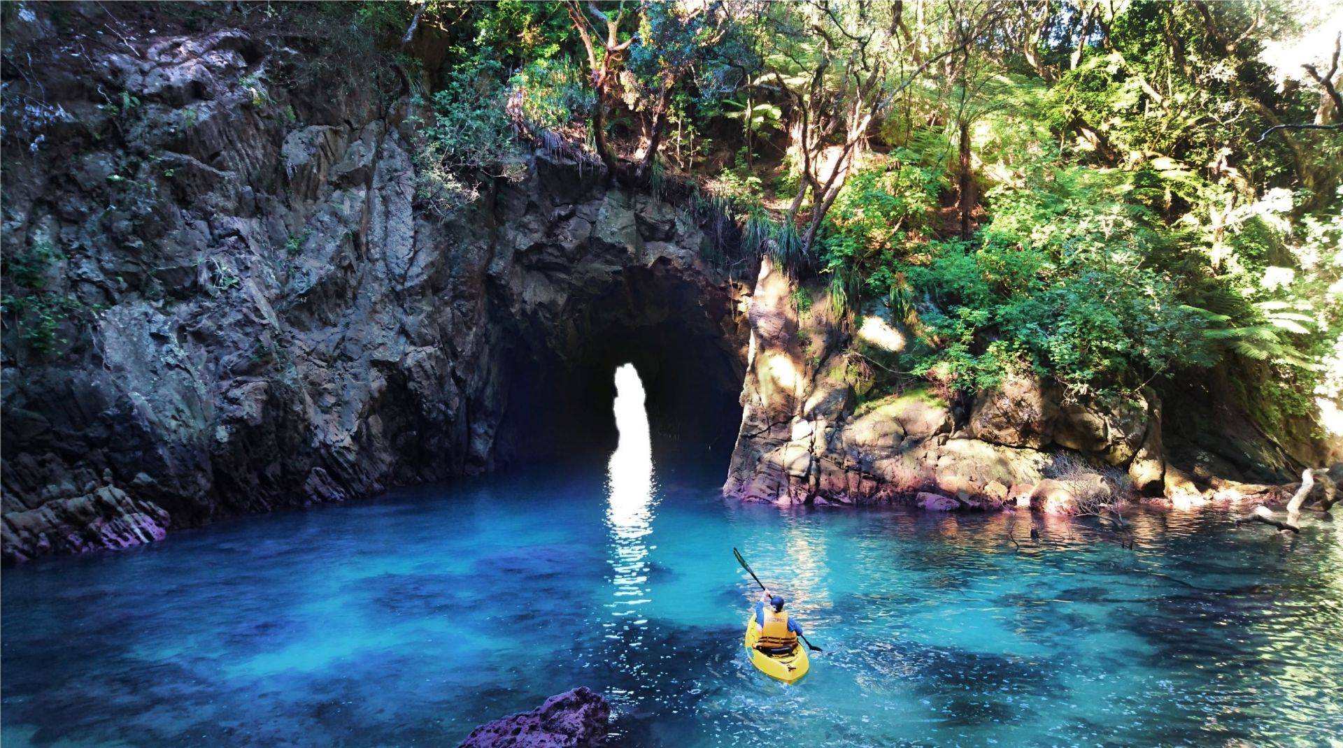 Deluxe Guided Experience Whenuakura (Donut) Island