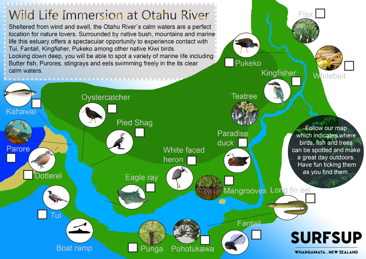 WILDLIFE EXCURSION RIVER TO SEA SELF GUIDED Surf Sup Kayaks ltd