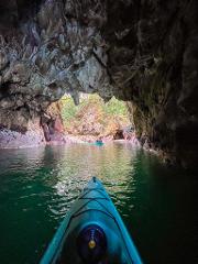 Whenuakura - Donut - Island Guided Kayaking Experience
