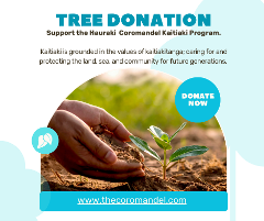 Donate a tree - Whangamatā Ridges Mountain Bike Park - Planting Project