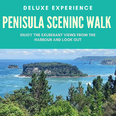 Peninsula Scenic Paddle n Walk Deluxe Experience
