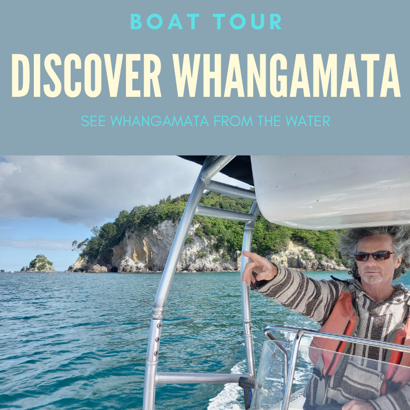 DISCOVER WHANGAMATA - BOAT TOUR