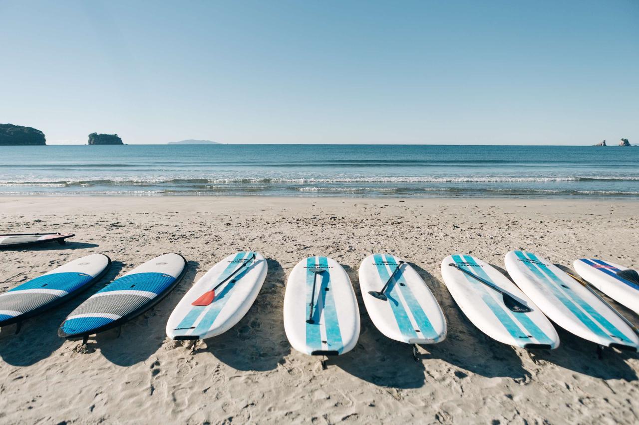 PADDLEBOARD (SUP) RENTAL