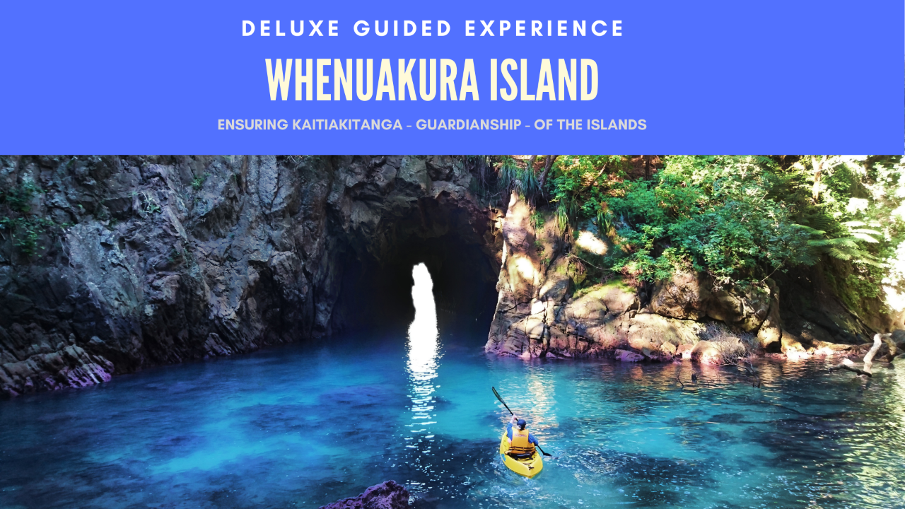 DONUT - WHENUAKURA ISLAND DELUXE GUIDED EXPERIENCE Family of 4 deal