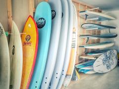 SURFBOARD RENTAL