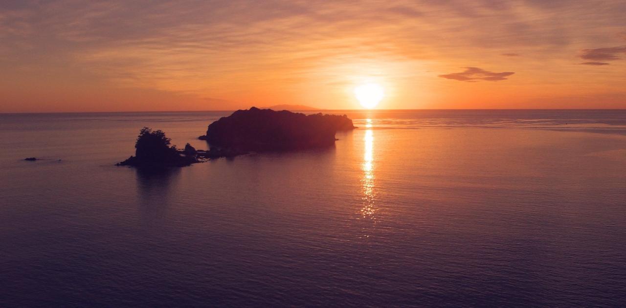 Whangamatā Sunrise: Whenuakura Willife Sanctuary by kayak