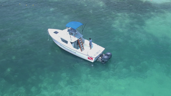 Private Vip Boat Tour 31'