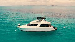 Private Yacht Carver 55 ft 5 hours up to 15 PAX