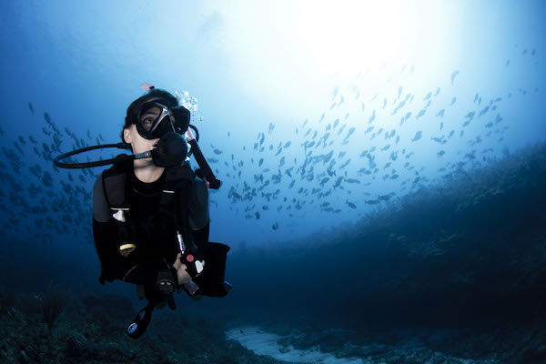 Private Reef Diving