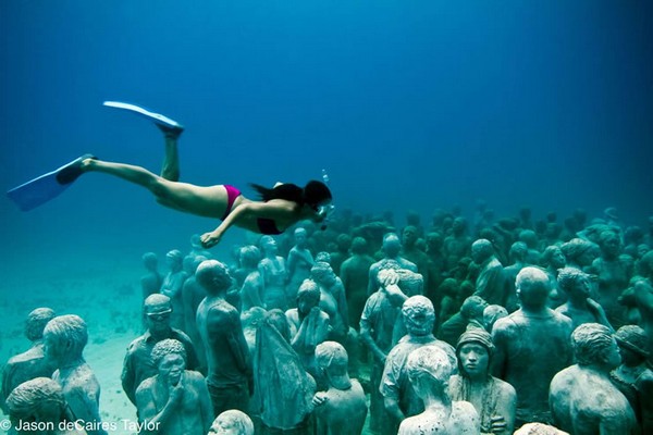 Private Reef Snorkeling Tour MUSA