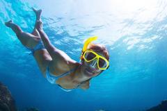 Private Reef Snorkeling Tour