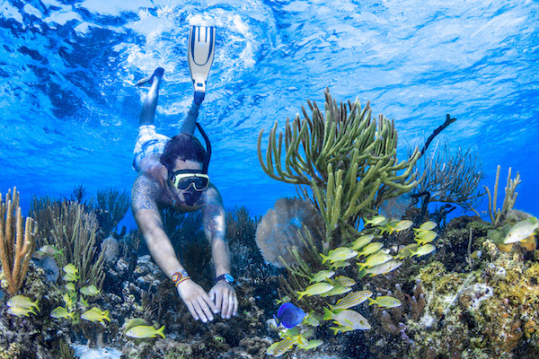 Private Reef Snorkeling Tour