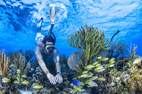 Reef Snorkeling MUSA and Manchones