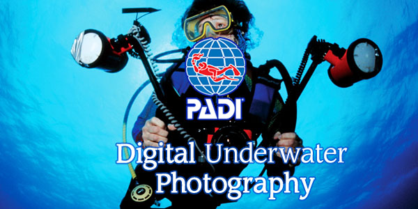 PADI Specialty Course - Digital Underwater Photographer