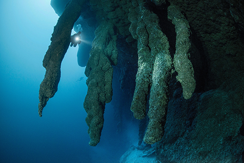 The Great Blue Hole (3 tank)