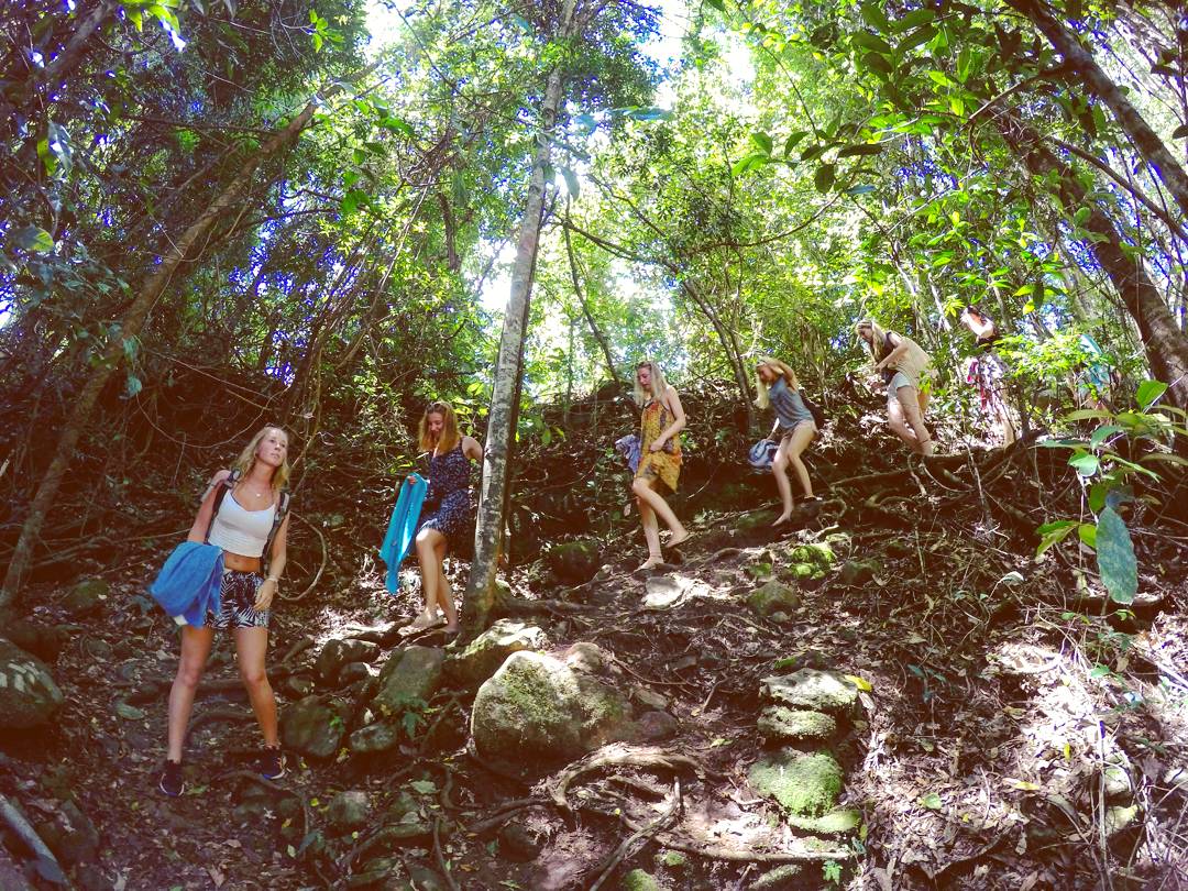 Byron Surrounds: Nimbin Waterfall Adventure