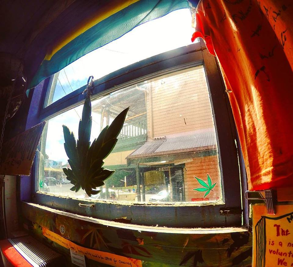 Byron Surrounds: Nimbin Waterfall Adventure