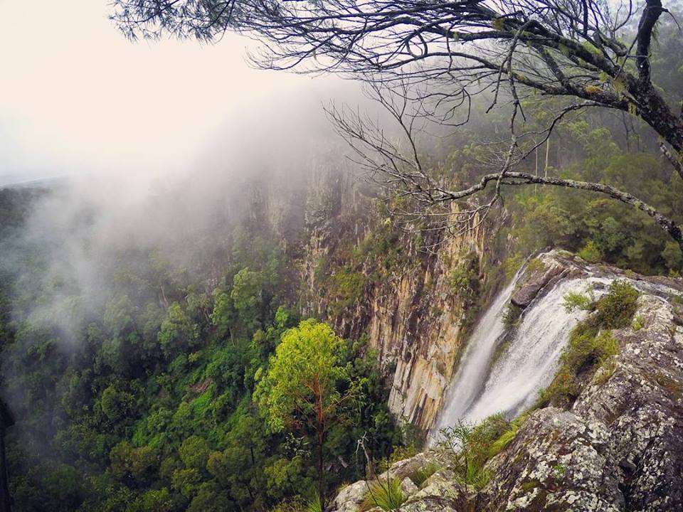 Byron Surrounds: Nimbin Waterfall Adventure