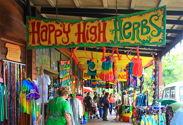 Byron Surrounds: Nimbin Waterfall Adventure