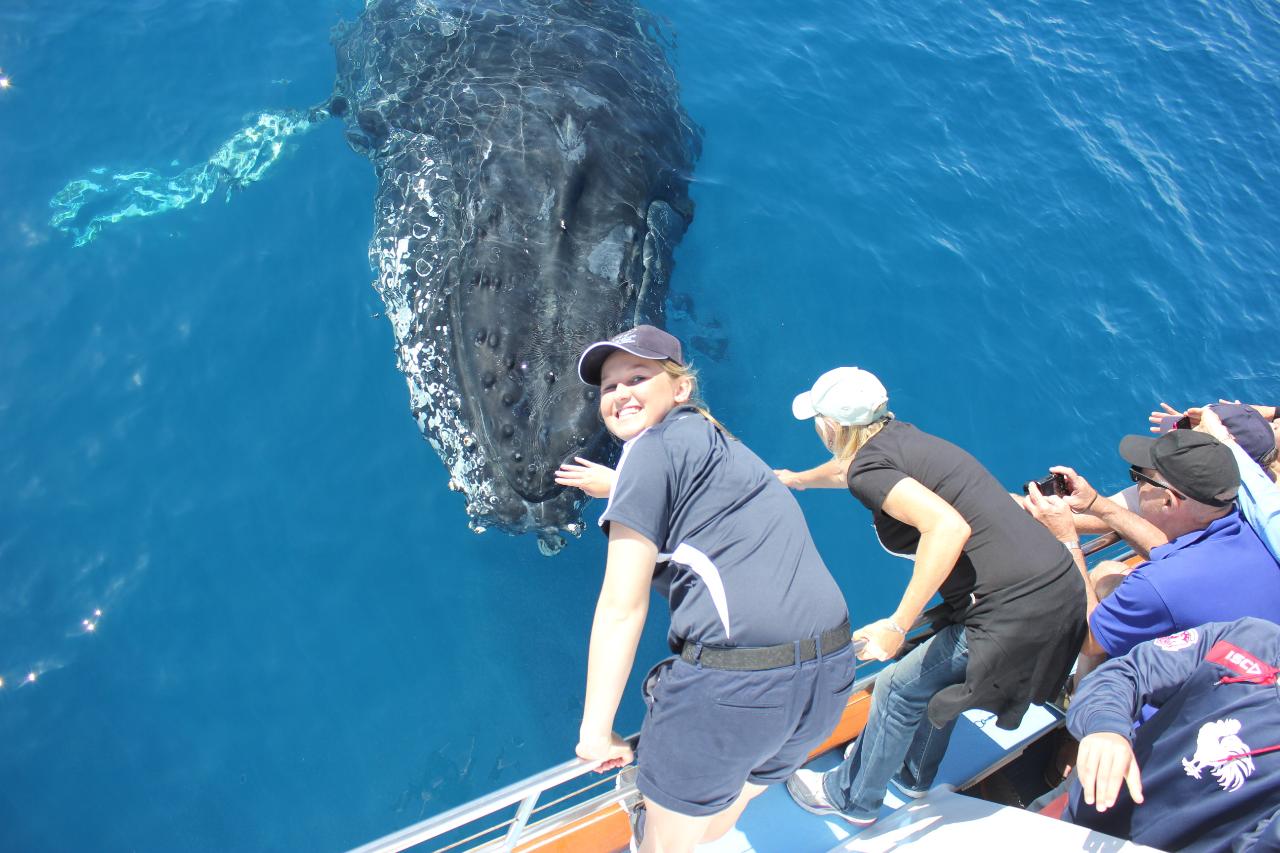 Freedom Premium Whale Watch Tour