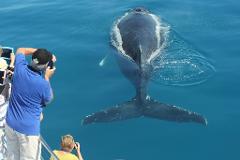 Freedom 3/4 Day Whale Watch Tour - spend more time with the whales