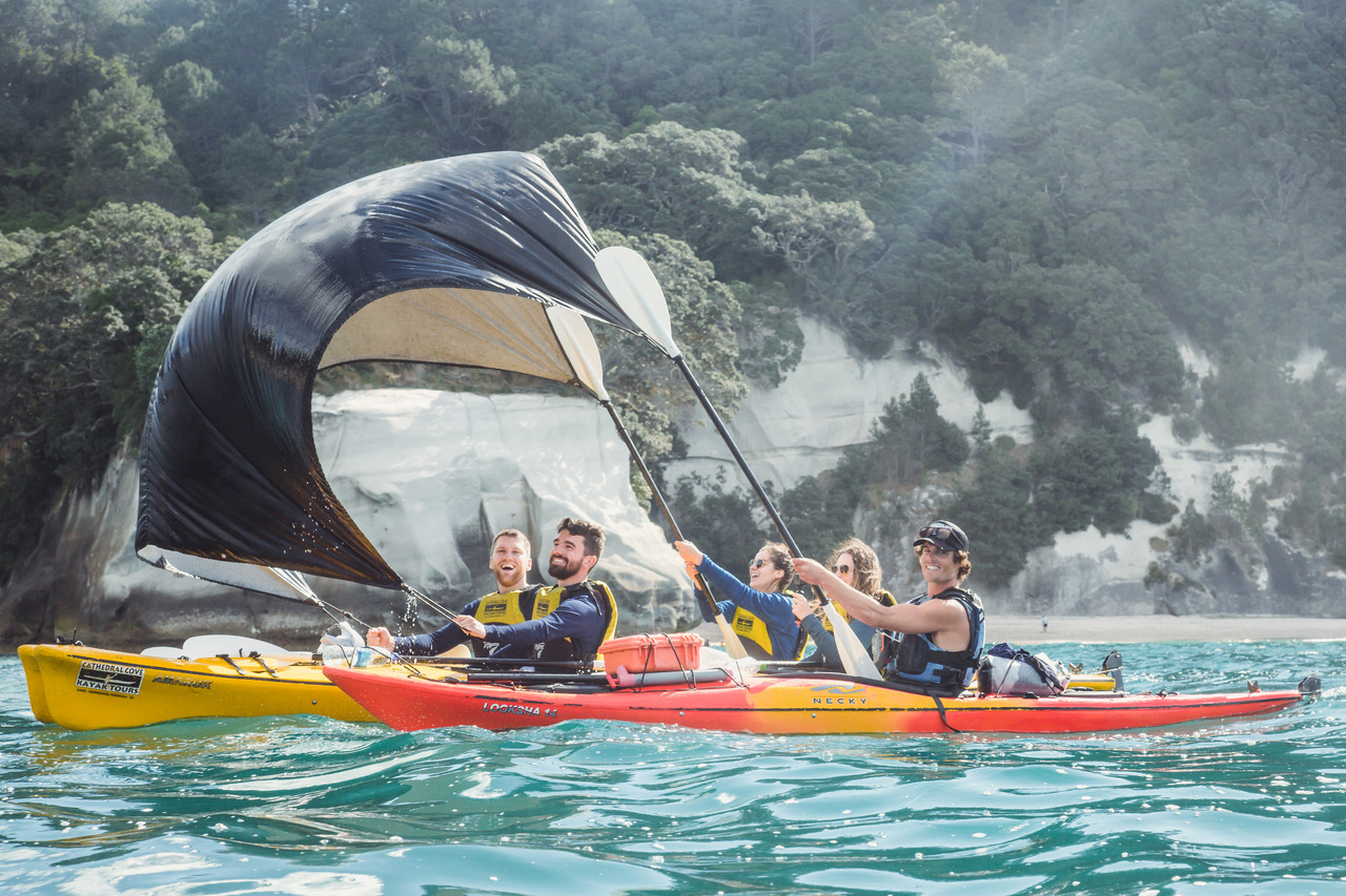 cathedral cove classic tour