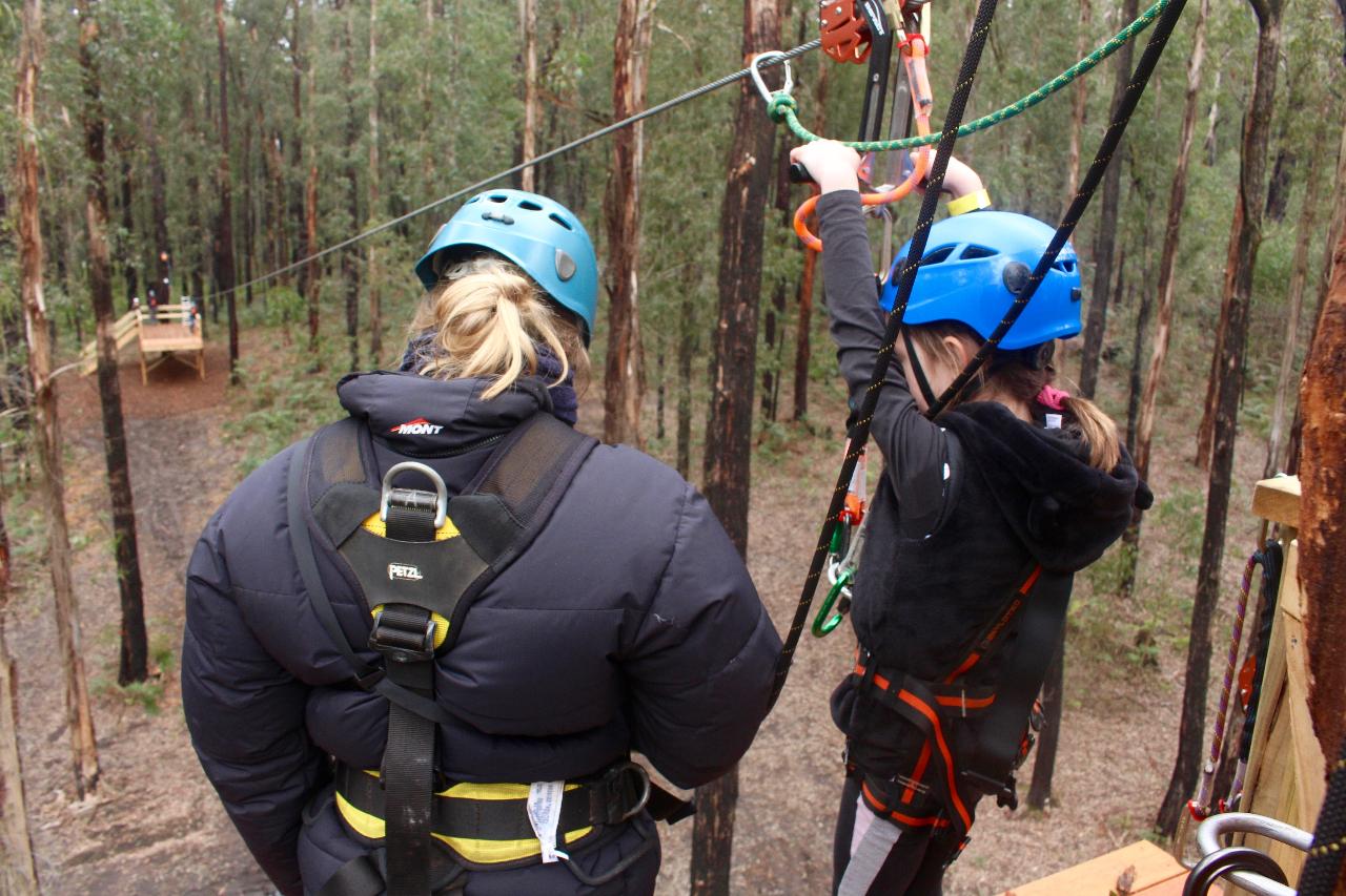 Treetop Adventures Zipline and Freefalls Only Kinglake Forest