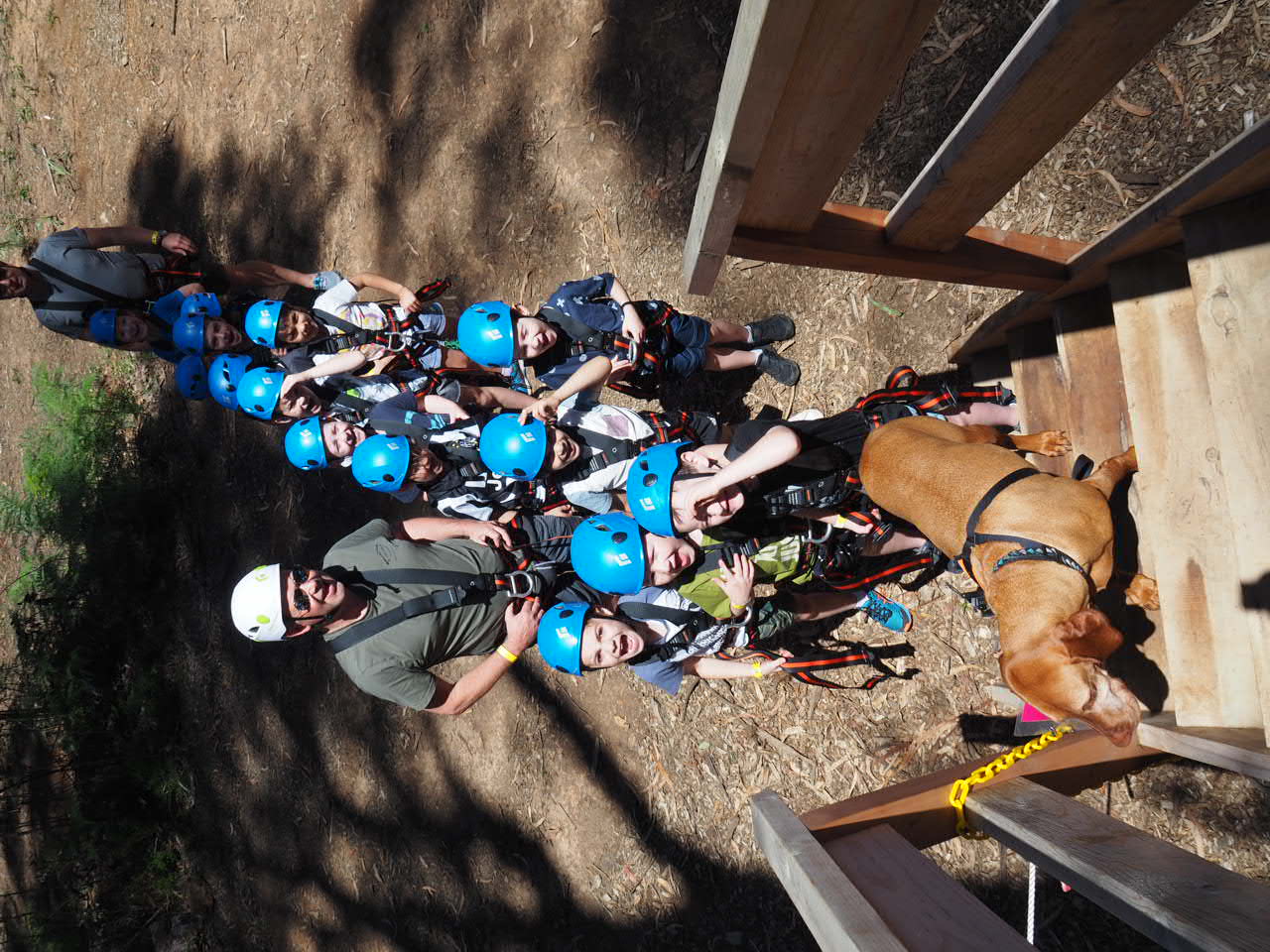 Party Treetop Adventures BYO Snacks