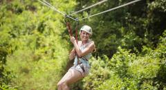 Treetop Adventures - Zipline and Freefalls Only