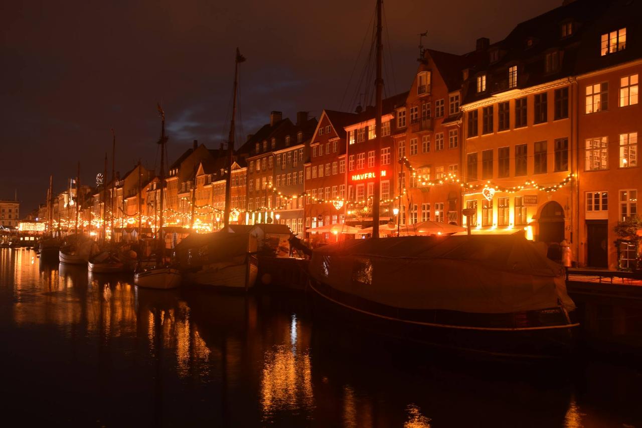 Copenhagen by night tour (English)