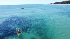 Small Groups ( 6 people or less) Private Byron Bay Sea Kayak Tour