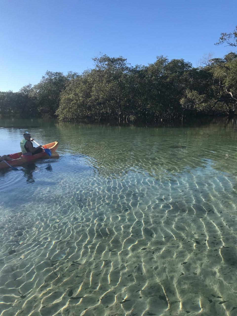 Double Kayak Rental in Brunswick River Go Sea Kayak Byron Bay