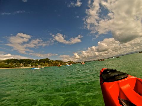 Live Virtual Byron Bay Dolphin Sea Kayak Tour - Go Sea Kayak Byron