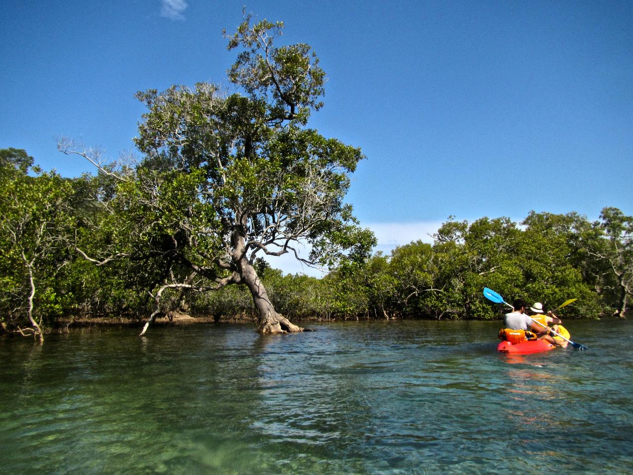 Double Kayak Rental in Brunswick River Go Sea Kayak Byron Bay