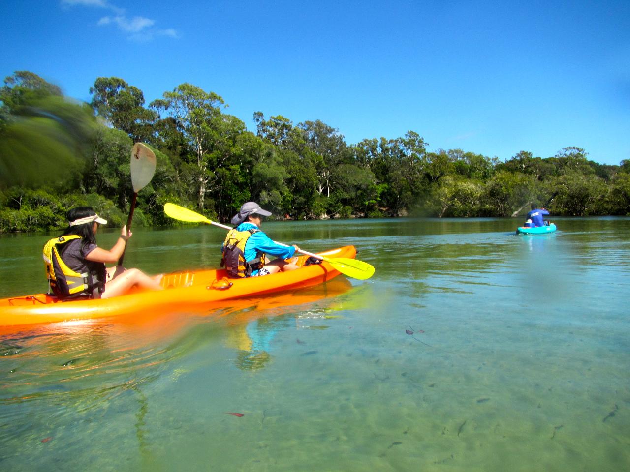 Double Kayak Rental in Brunswick River