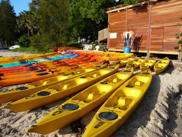 Sydney Harbour Sea Kayak Tour