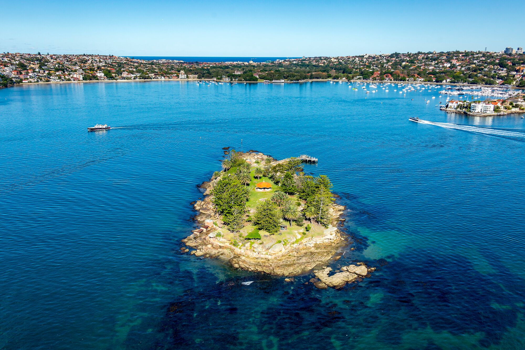 Sydney Harbour Sea Kayak Tour