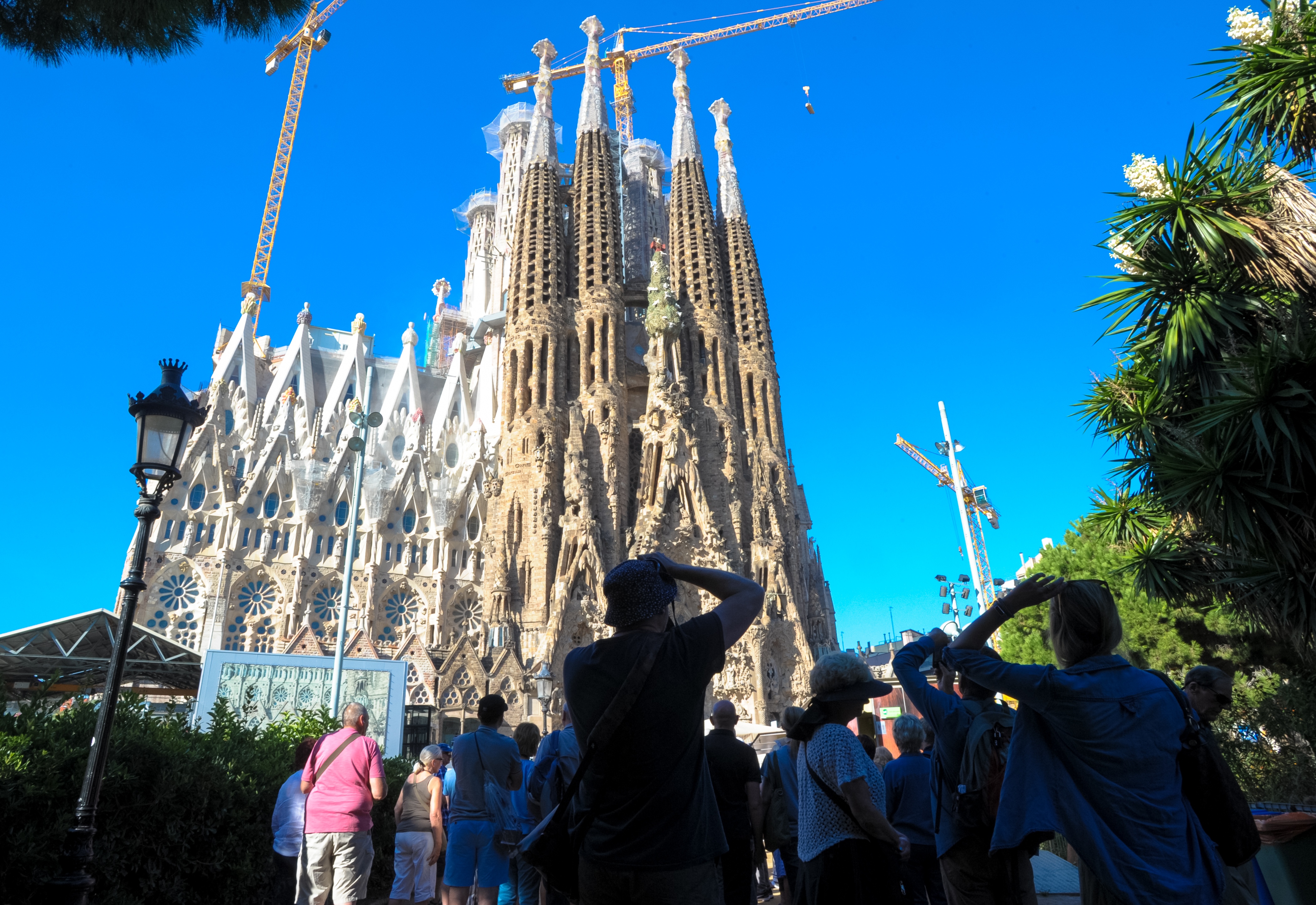 Sagrada Familia 'Skip the Line' & Barcelona Highlights Tour | 8-20 Pax Small Group
